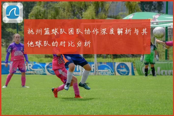 杭州篮球队团队协作深度解析与其他球队的对比分析
