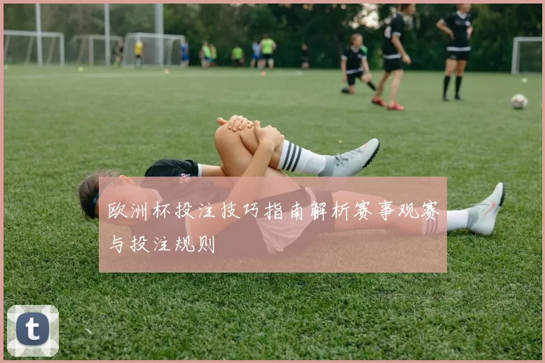 欧洲杯投注技巧指南解析赛事观赛与投注规则