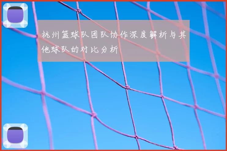 杭州篮球队团队协作深度解析与其他球队的对比分析