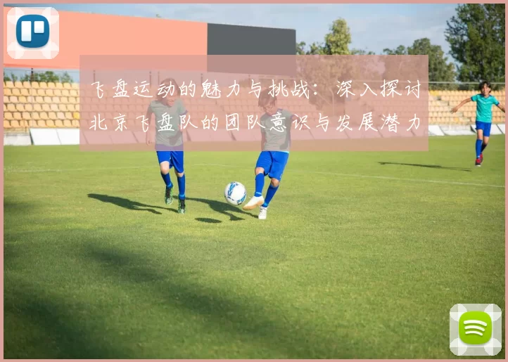 飞盘运动的魅力与挑战：深入探讨北京飞盘队的团队意识与发展潜力