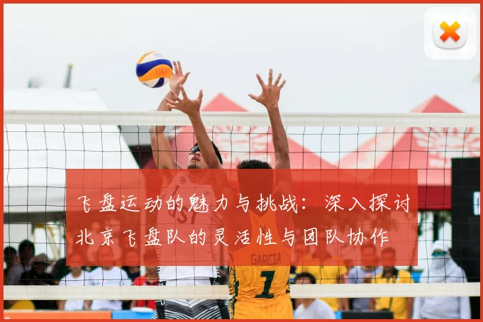 飞盘运动的魅力与挑战：深入探讨北京飞盘队的灵活性与团队协作