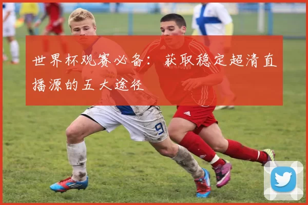 世界杯观赛必备：获取稳定超清直播源的五大途径