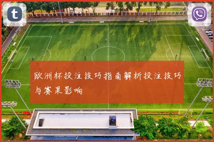 欧洲杯投注技巧指南解析投注技巧与赛果影响