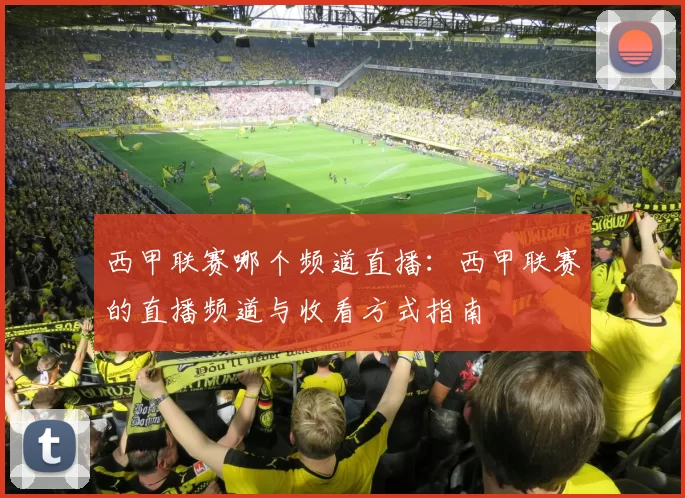 西甲联赛哪个频道直播:西甲联赛的直播频道与收看方式指南