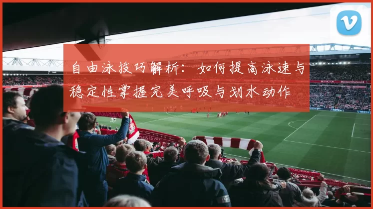 自由泳技巧解析：如何提高泳速与稳定性掌握完美呼吸与划水动作